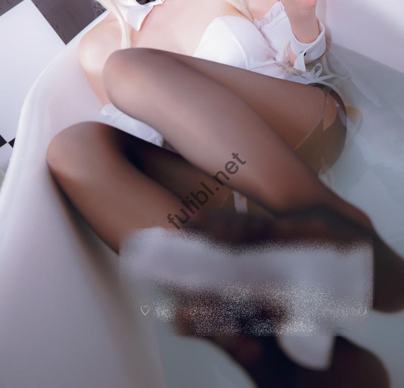 fulibl.net (10)