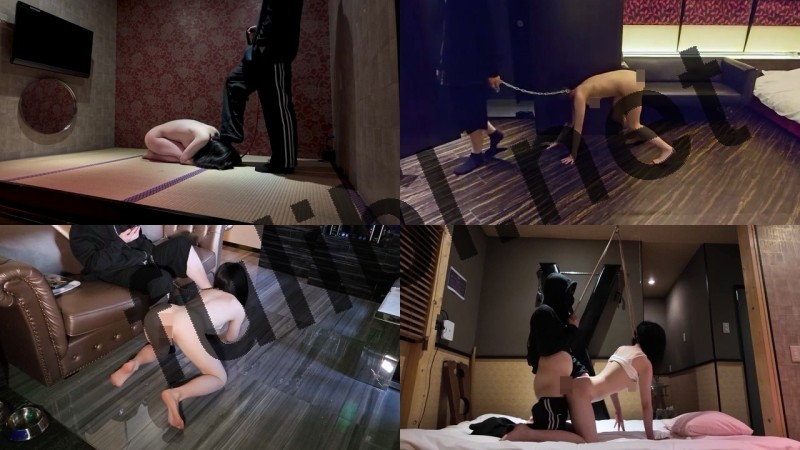 白虎抖m@YuiPiSM 调教尺度作合集[242V/19.1G]