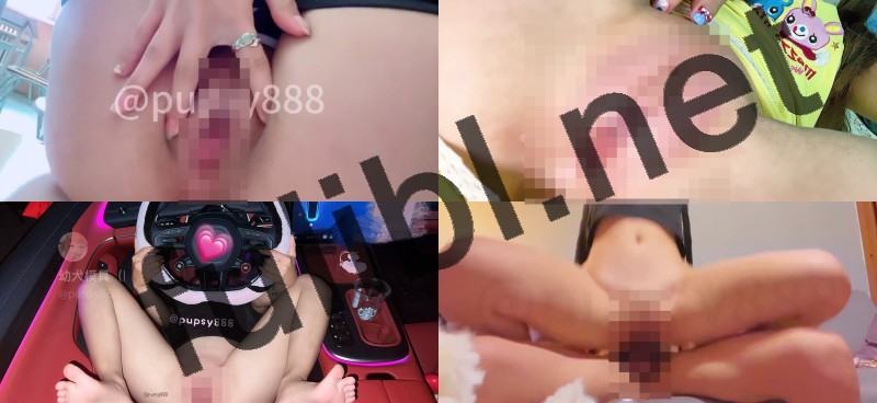 一字马白虎舞姬@幼犬模具 尺度私拍视图合集[16P+52V/143M]